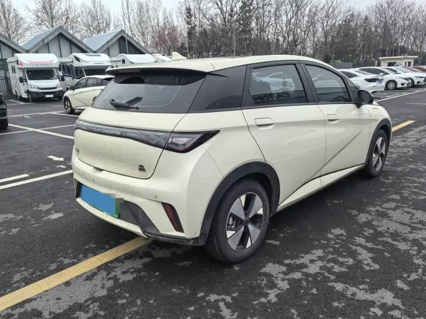 2023 BYD Dolphin BEV 44.928KWH,autocango,china used car exporter,china ev exporter,chinese used car exporter,chinese used ev exporter
