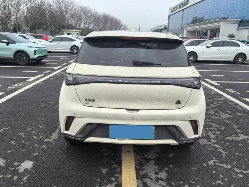 2023 BYD Dolphin BEV 44.928KWH,autocango,china used car exporter,china ev exporter,chinese used car exporter,chinese used ev exporter