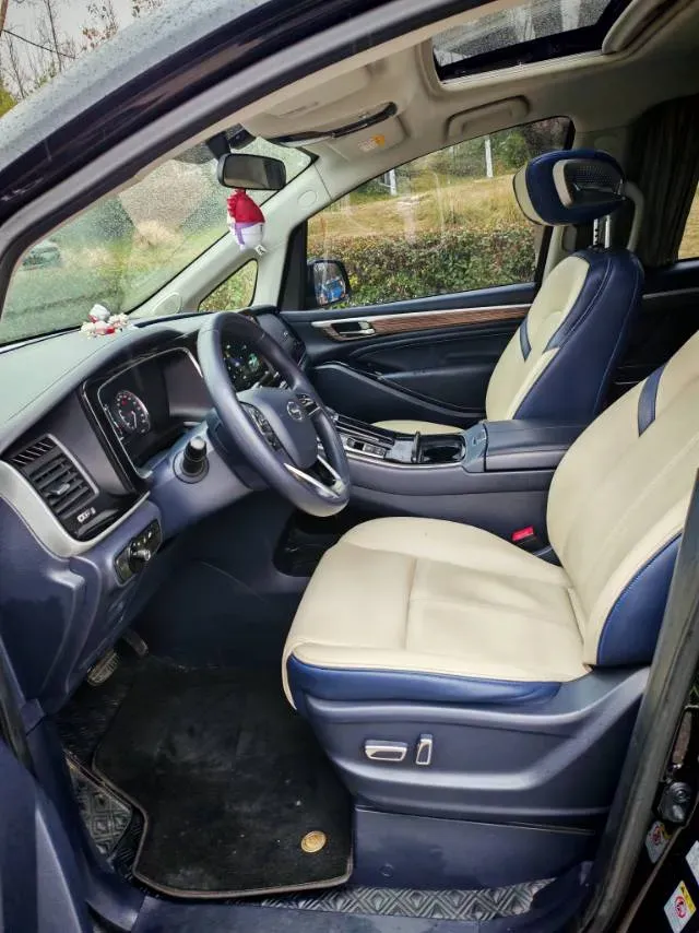 2021 GAC Trumpchi M8 2.0T 252HP L4 8AT,autocango,china used car exporter,china ev exporter,chinese used car exporter,chinese used ev exporter