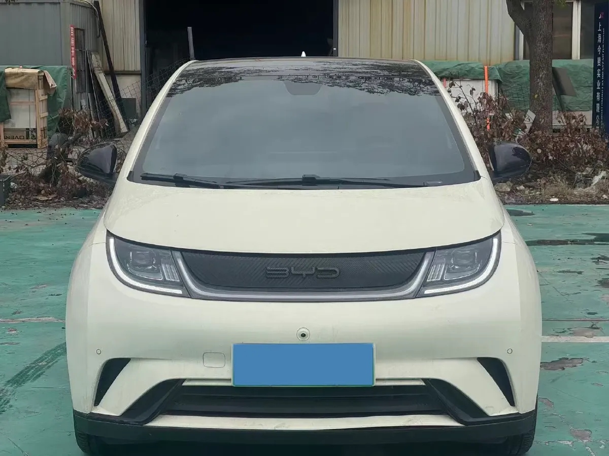 2023 BYD Dolphin BEV 44.928KWH,autocango,china used car exporter,china ev exporter,chinese used car exporter,chinese used ev exporter