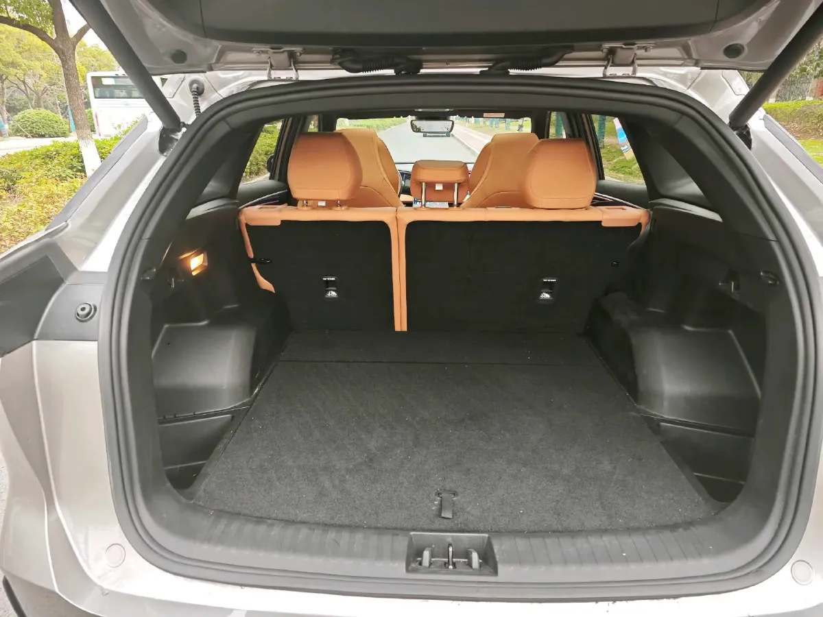 2025 BYD Sea Lion 05 DM-i 1.5L 101HP L4 E-CVT PHEV 18.3KWH,autocango,china used car exporter,china ev exporter,chinese used car exporter,chinese used ev exporter