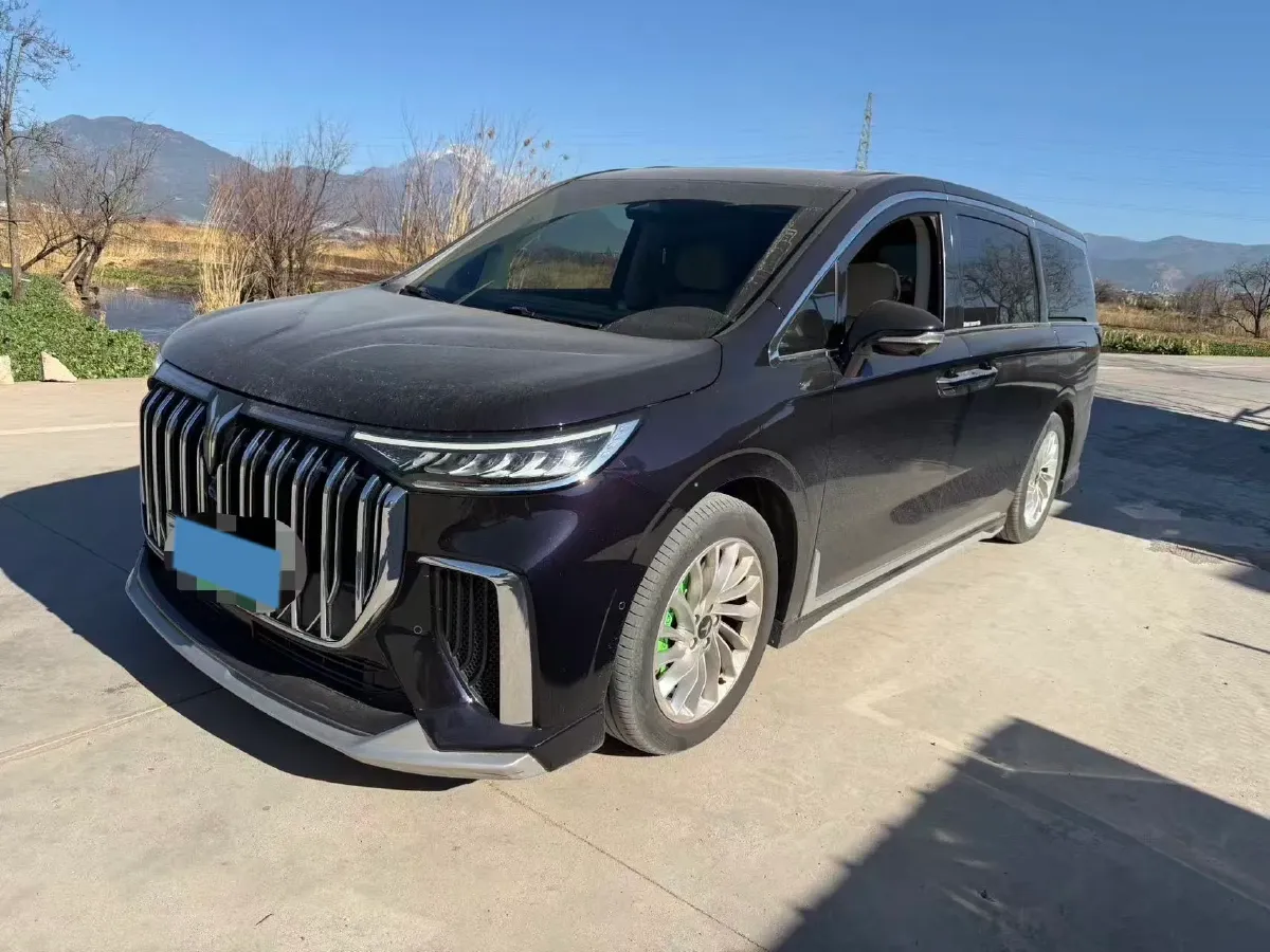 2024 Voyah Dream 1.5T 150HP L4 PHEV 43KWH,autocango,china used car exporter,china ev exporter,chinese used car exporter,chinese used ev exporter