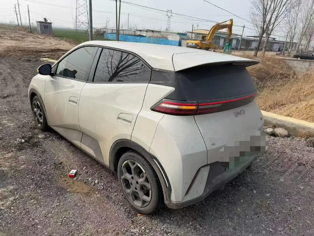 2024 BYD Seagull BEV 38.88KWH,autocango,china used car exporter,china ev exporter,chinese used car exporter,chinese used ev exporter