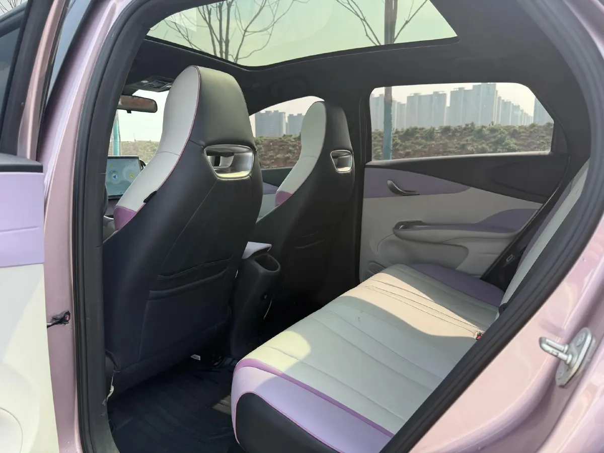 2021 BYD Yuan Pro BEV 50.1KWH,autocango,china used car exporter,china ev exporter,chinese used car exporter,chinese used ev exporter