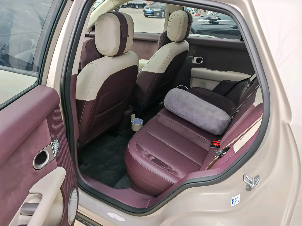 2025 Firefly Firefly BEV,autocango,china used car exporter,china ev exporter,chinese used car exporter,chinese used ev exporter