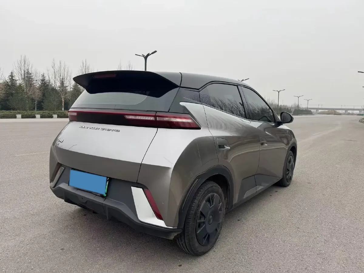 2024 BYD Seagull BEV 30.08KWH,autocango,china used car exporter,china ev exporter,chinese used car exporter,chinese used ev exporter