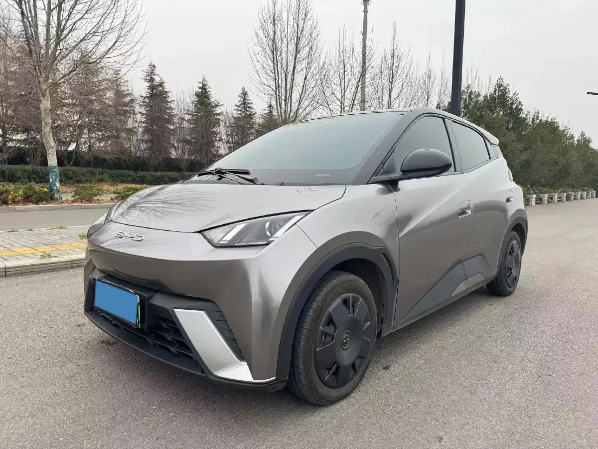 2024 BYD Seagull BEV 30.08KWH,autocango,china used car exporter,china ev exporter,chinese used car exporter,chinese used ev exporter