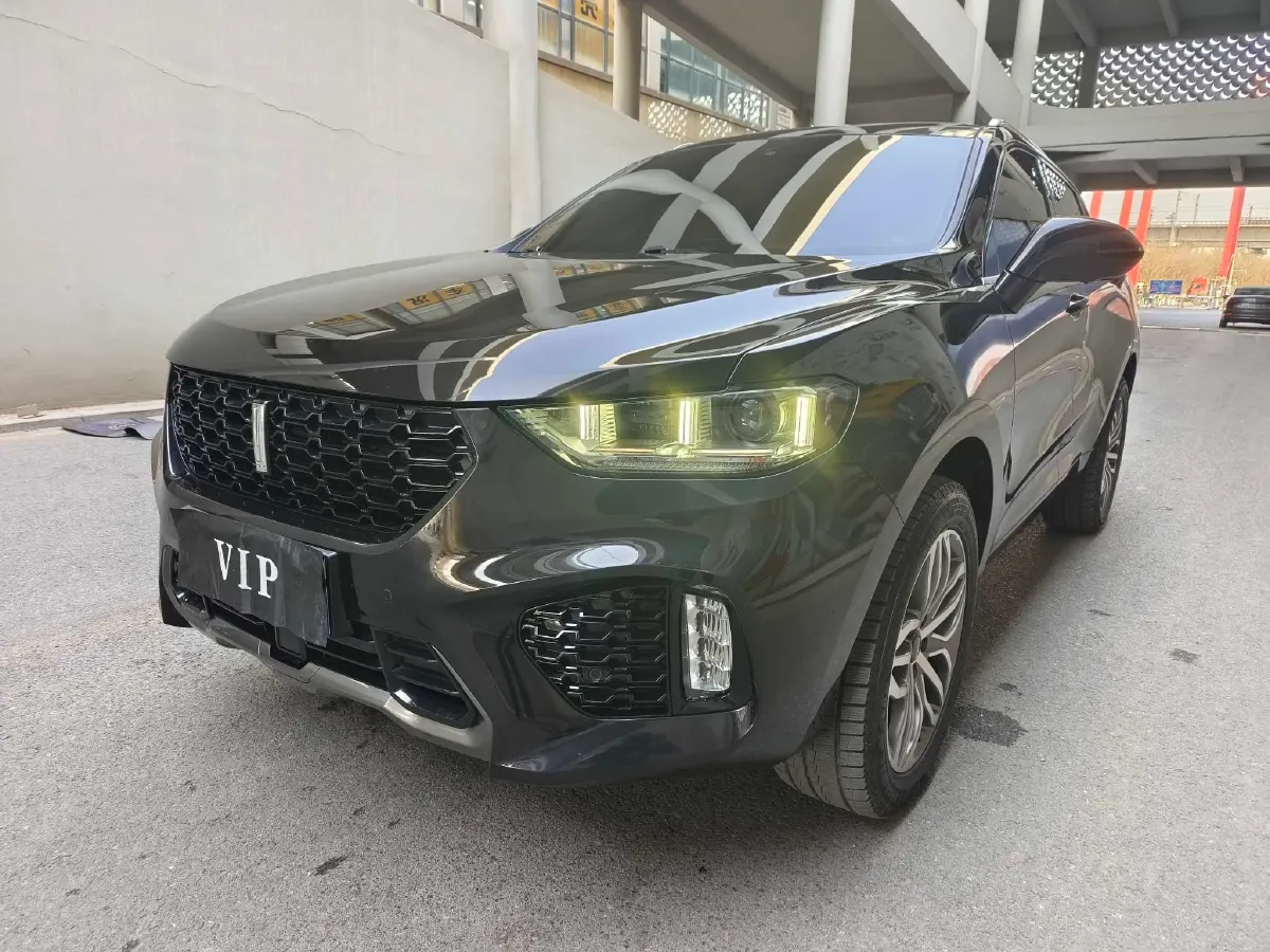 2019 WEY VV5 2.0T 224HP L4 7DCT,autocango,china used car exporter,china ev exporter,chinese used car exporter,chinese used ev exporter