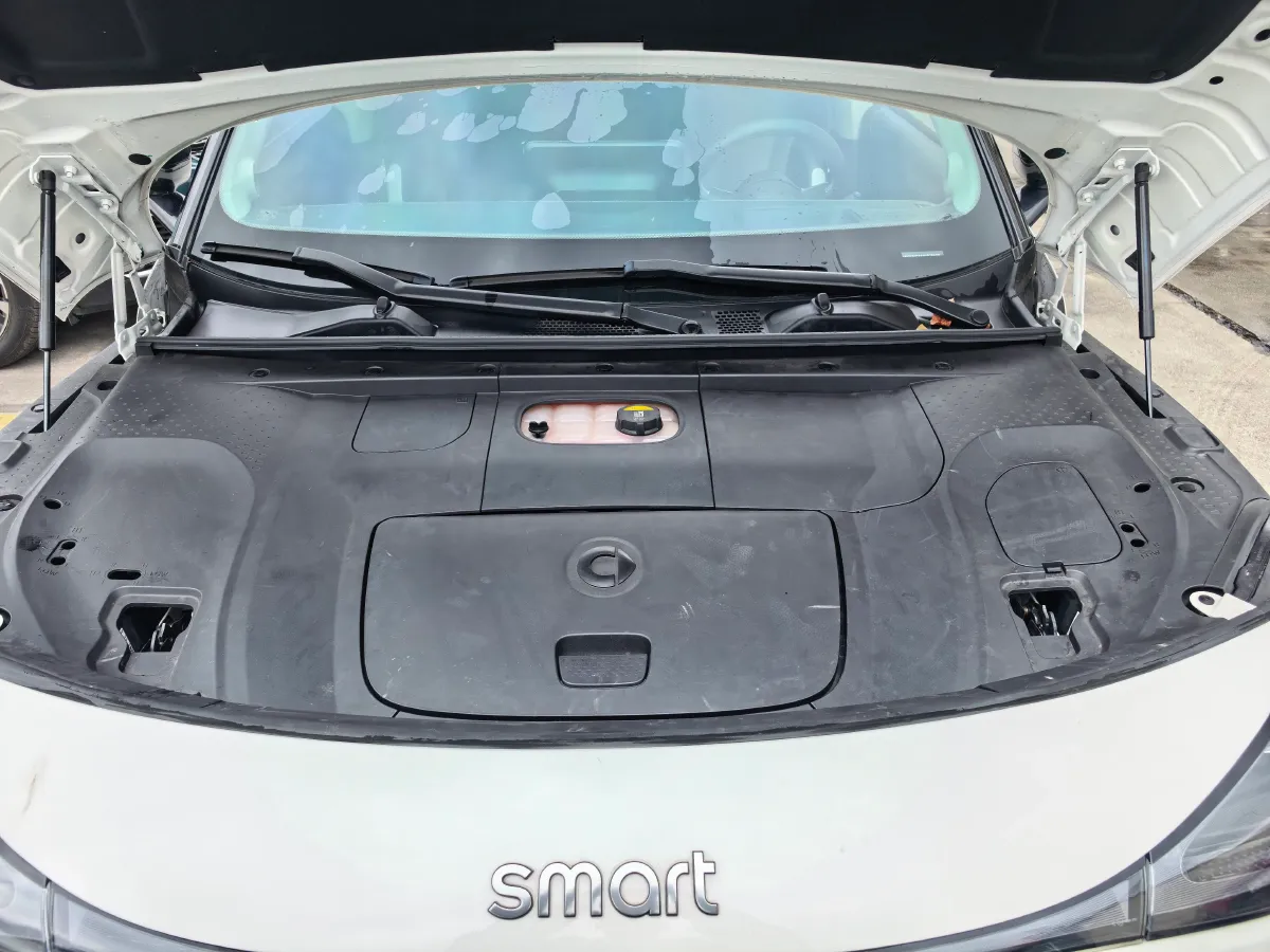 2022 Smart smart Elf 1 BEV 66KWH,autocango,china used car exporter,china ev exporter,chinese used car exporter,chinese used ev exporter