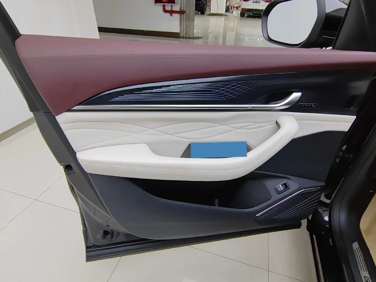 2024 Geely Monjaro 2.0T 238HP L4 8AT,autocango,china used car exporter,china ev exporter,chinese used car exporter,chinese used ev exporter