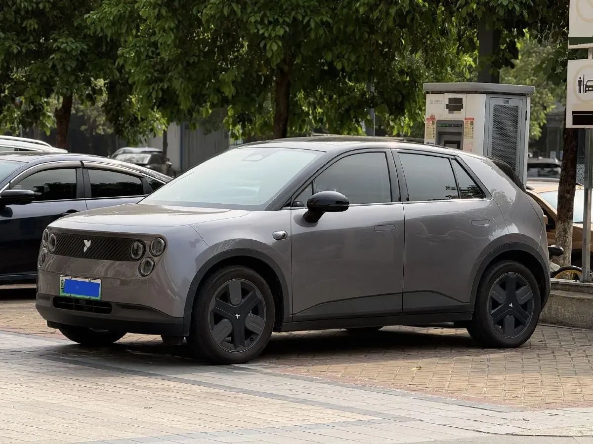 2025 Firefly Firefly BEV,autocango,china used car exporter,china ev exporter,chinese used car exporter,chinese used ev exporter