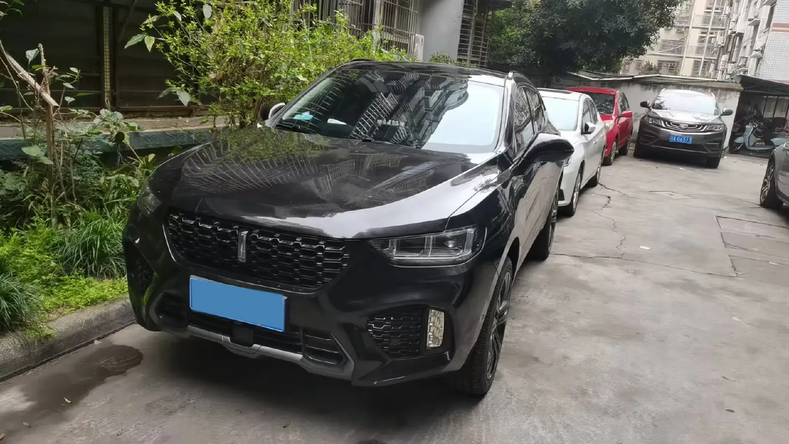 2017 WEY VV5 2.0T 197HP L4 7DCT,autocango,china used car exporter,china ev exporter,chinese used car exporter,chinese used ev exporter
