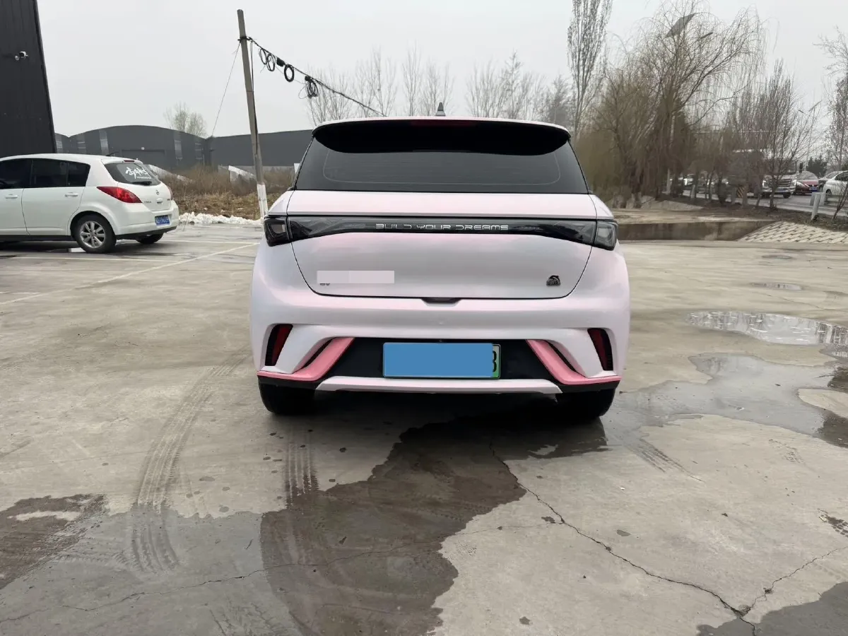 2023 BYD Dolphin BEV 44.928KWH,autocango,china used car exporter,china ev exporter,chinese used car exporter,chinese used ev exporter