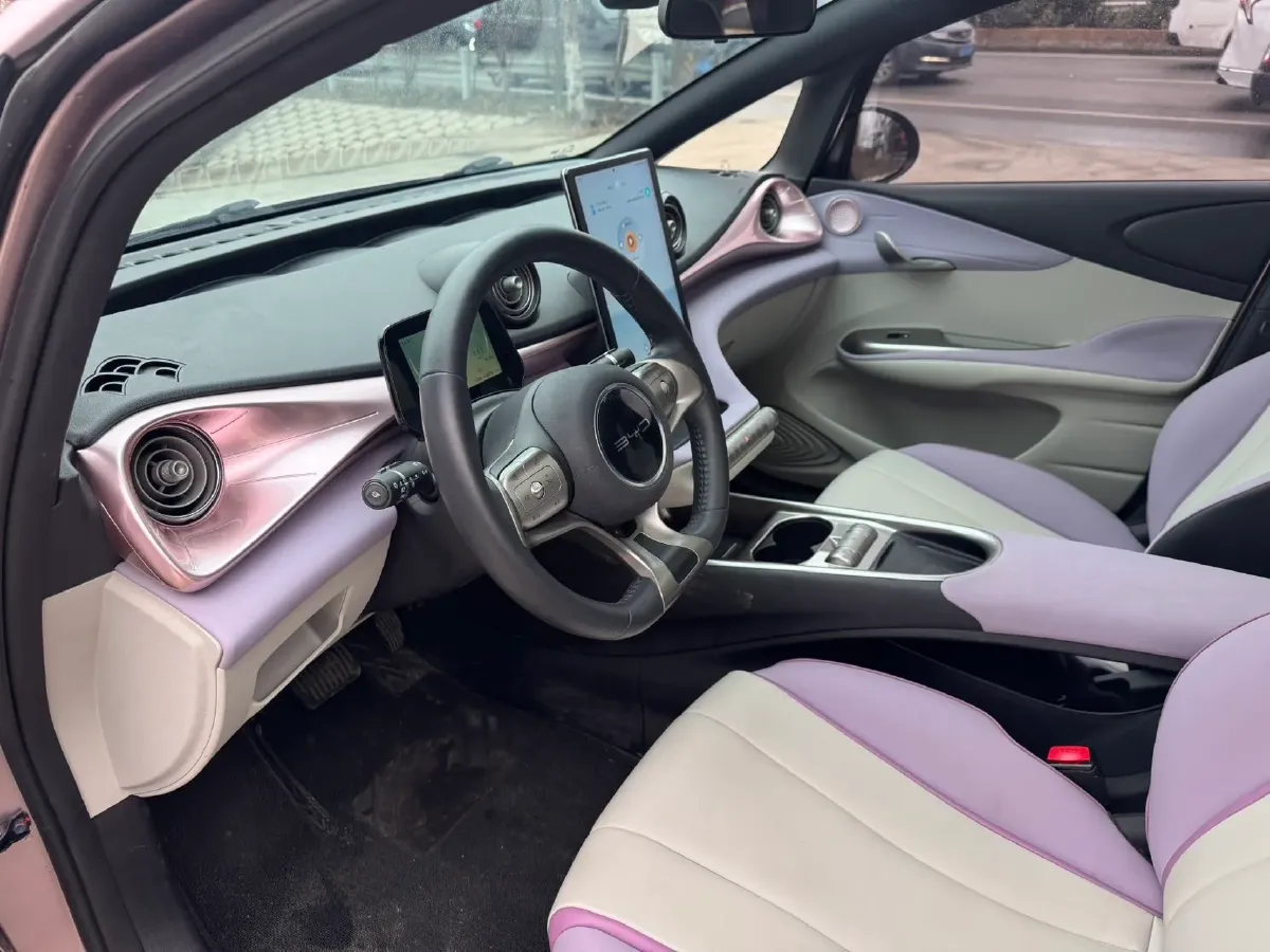 2023 BYD Dolphin BEV 44.928KWH,autocango,china used car exporter,china ev exporter,chinese used car exporter,chinese used ev exporter