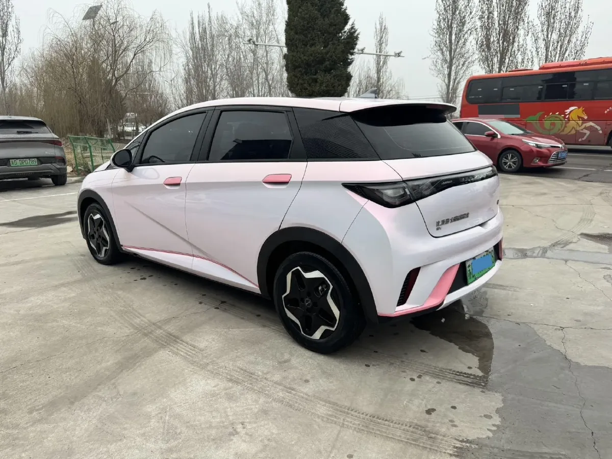 2023 BYD Dolphin BEV 44.928KWH,autocango,china used car exporter,china ev exporter,chinese used car exporter,chinese used ev exporter