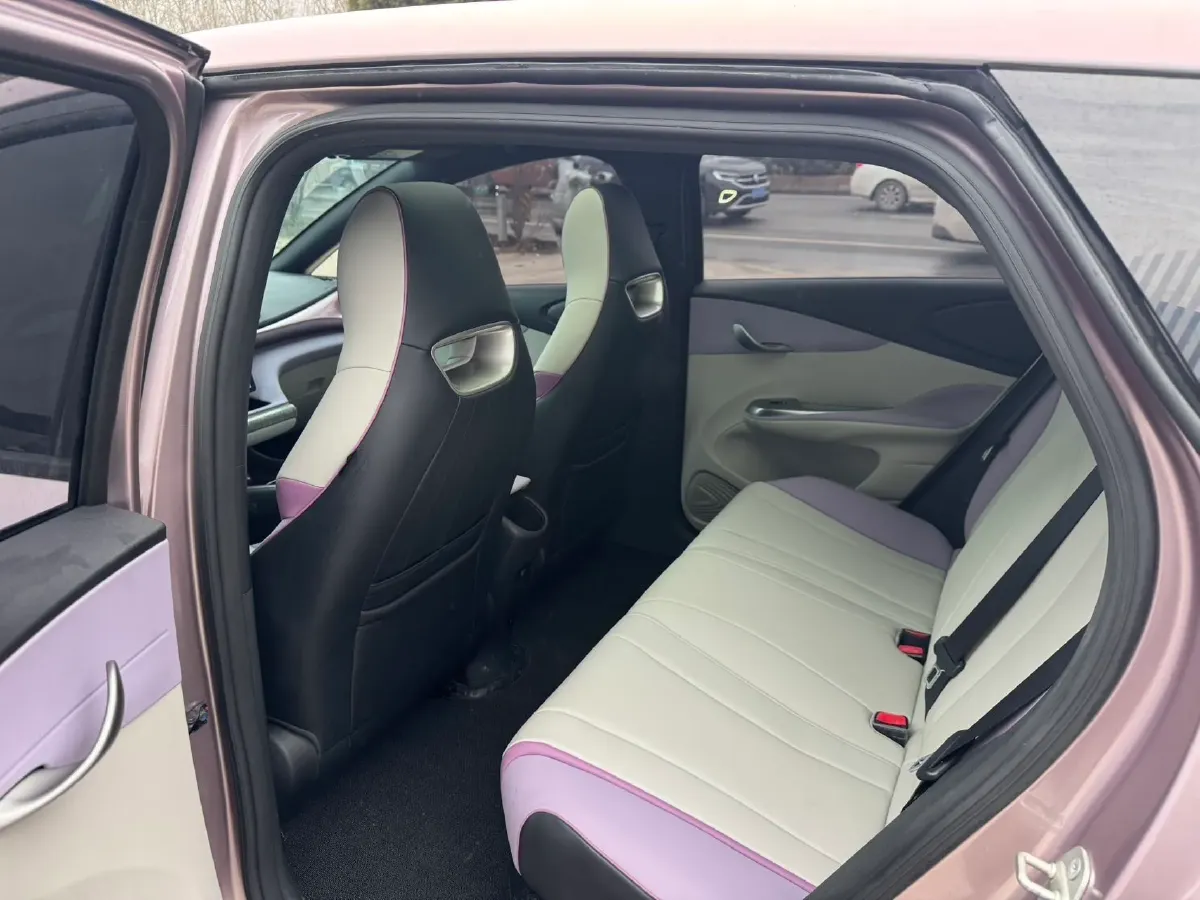 2023 BYD Dolphin BEV 44.928KWH,autocango,china used car exporter,china ev exporter,chinese used car exporter,chinese used ev exporter