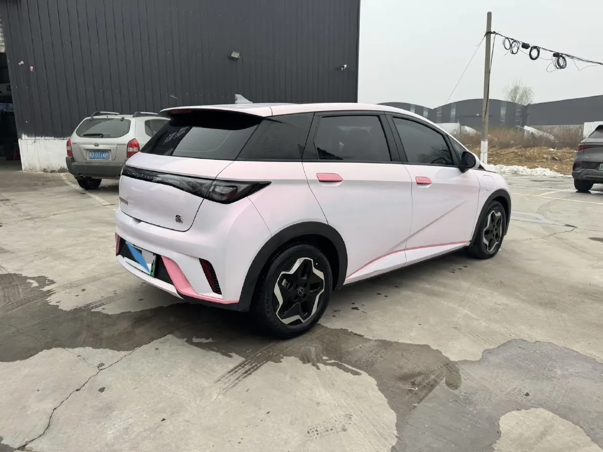 2023 BYD Dolphin BEV 44.928KWH,autocango,china used car exporter,china ev exporter,chinese used car exporter,chinese used ev exporter