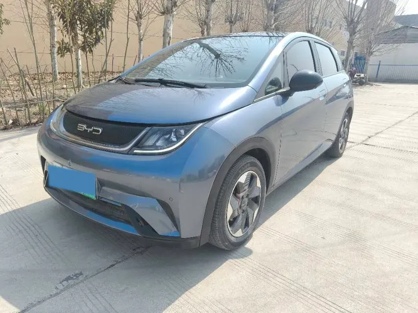 2024 BYD Dolphin BEV 44.928KWH,autocango,china used car exporter,china ev exporter,chinese used car exporter,chinese used ev exporter
