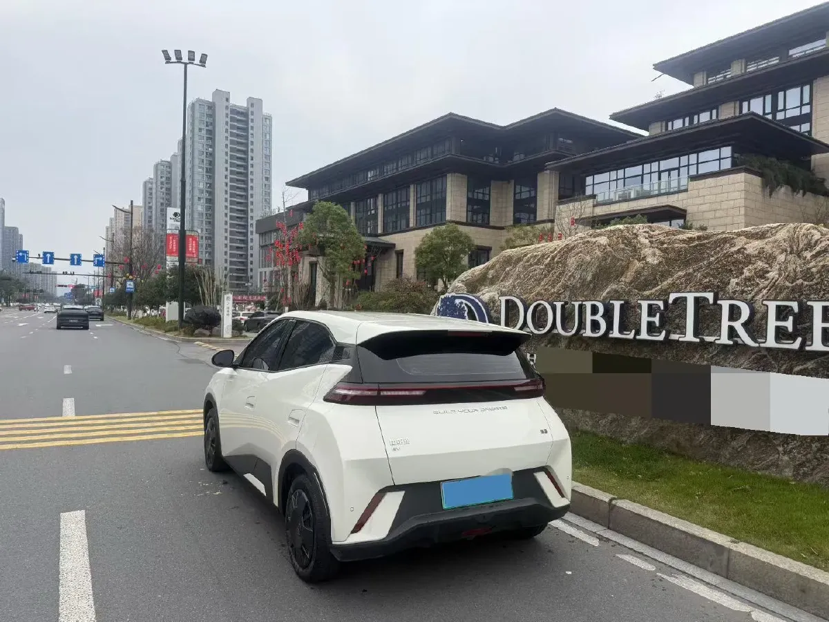 2024 BYD Seagull BEV 30.08KWH,autocango,china used car exporter,china ev exporter,chinese used car exporter,chinese used ev exporter