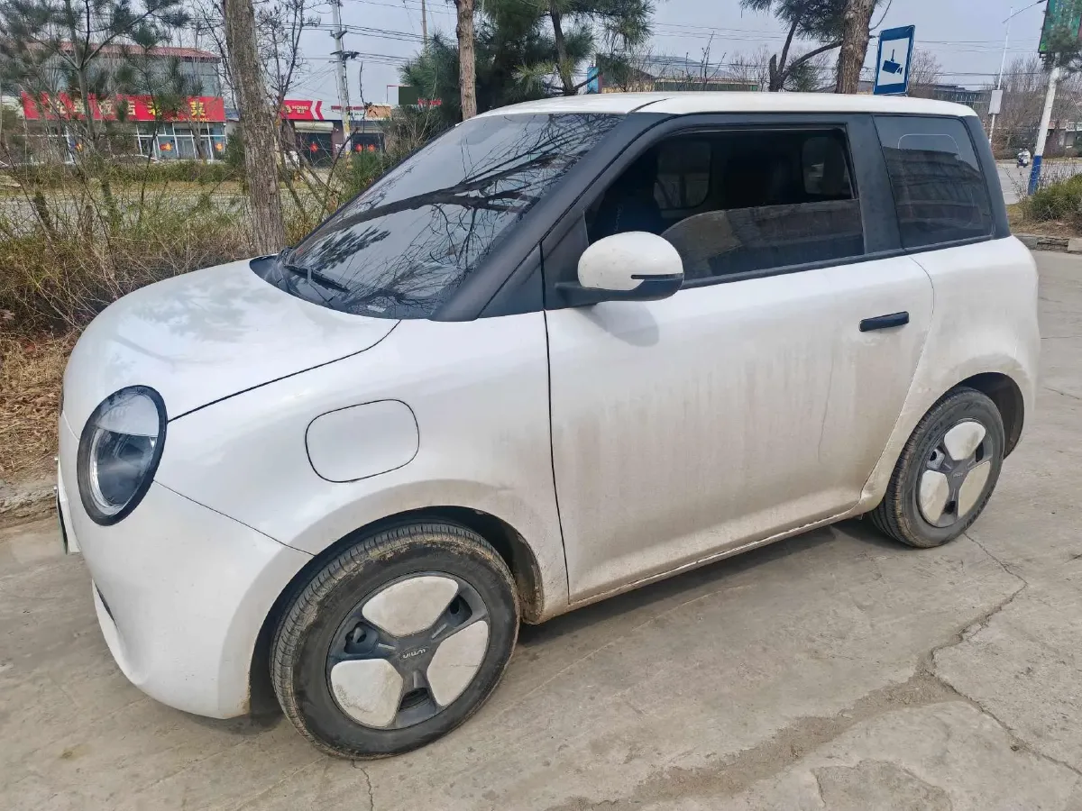 2024 ChangAn QiYuan Lumin BEV 28.08KWH,autocango,china used car exporter,china ev exporter,chinese used car exporter,chinese used ev exporter