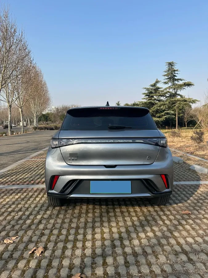 2023 BYD Dolphin BEV 44.928KWH,autocango,china used car exporter,china ev exporter,chinese used car exporter,chinese used ev exporter