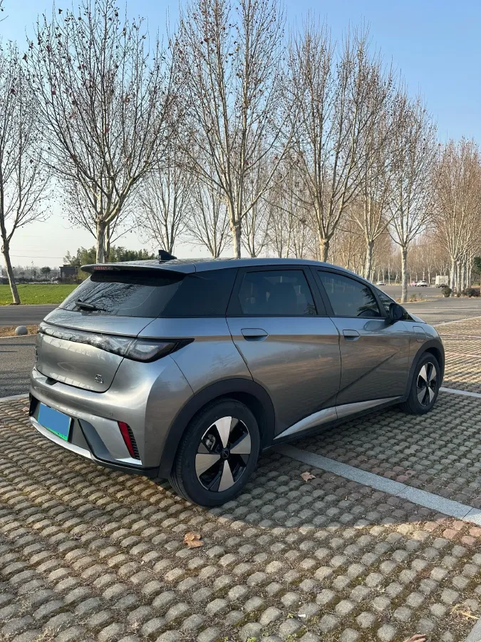 2023 BYD Dolphin BEV 44.928KWH,autocango,china used car exporter,china ev exporter,chinese used car exporter,chinese used ev exporter