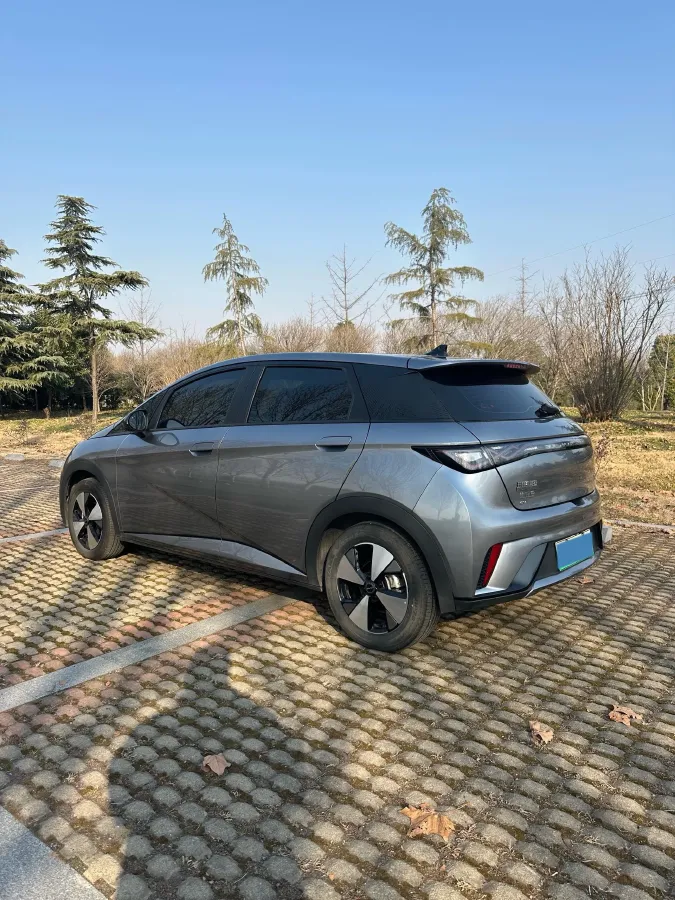 2023 BYD Dolphin BEV 44.928KWH,autocango,china used car exporter,china ev exporter,chinese used car exporter,chinese used ev exporter