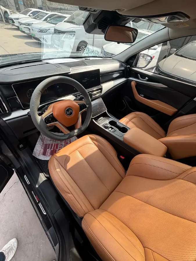 2019 Weltmeister EX5 BEV 69KWH,autocango,china used car exporter,china ev exporter,chinese used car exporter,chinese used ev exporter