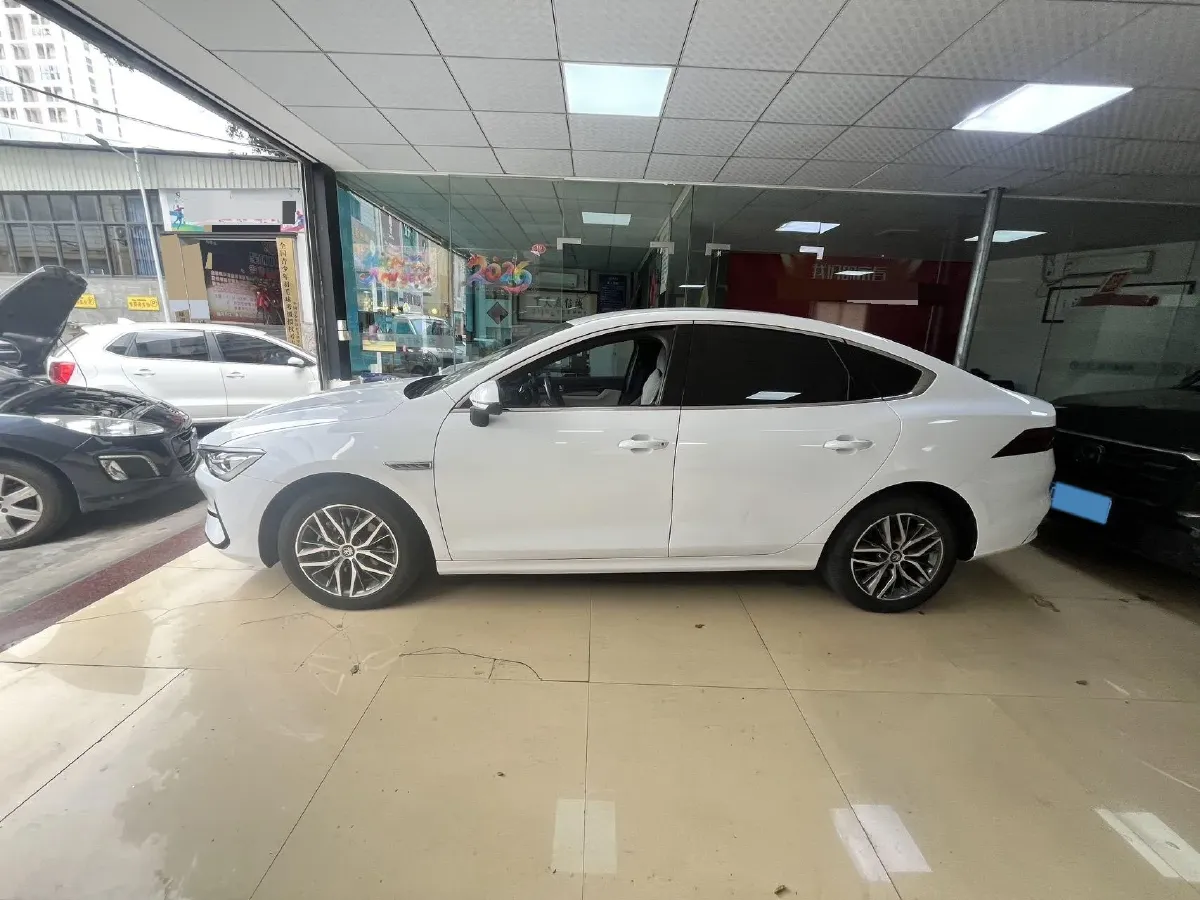 2024 BYD Qin Plus BEV 48KWH,autocango,china used car exporter,china ev exporter,chinese used car exporter,chinese used ev exporter