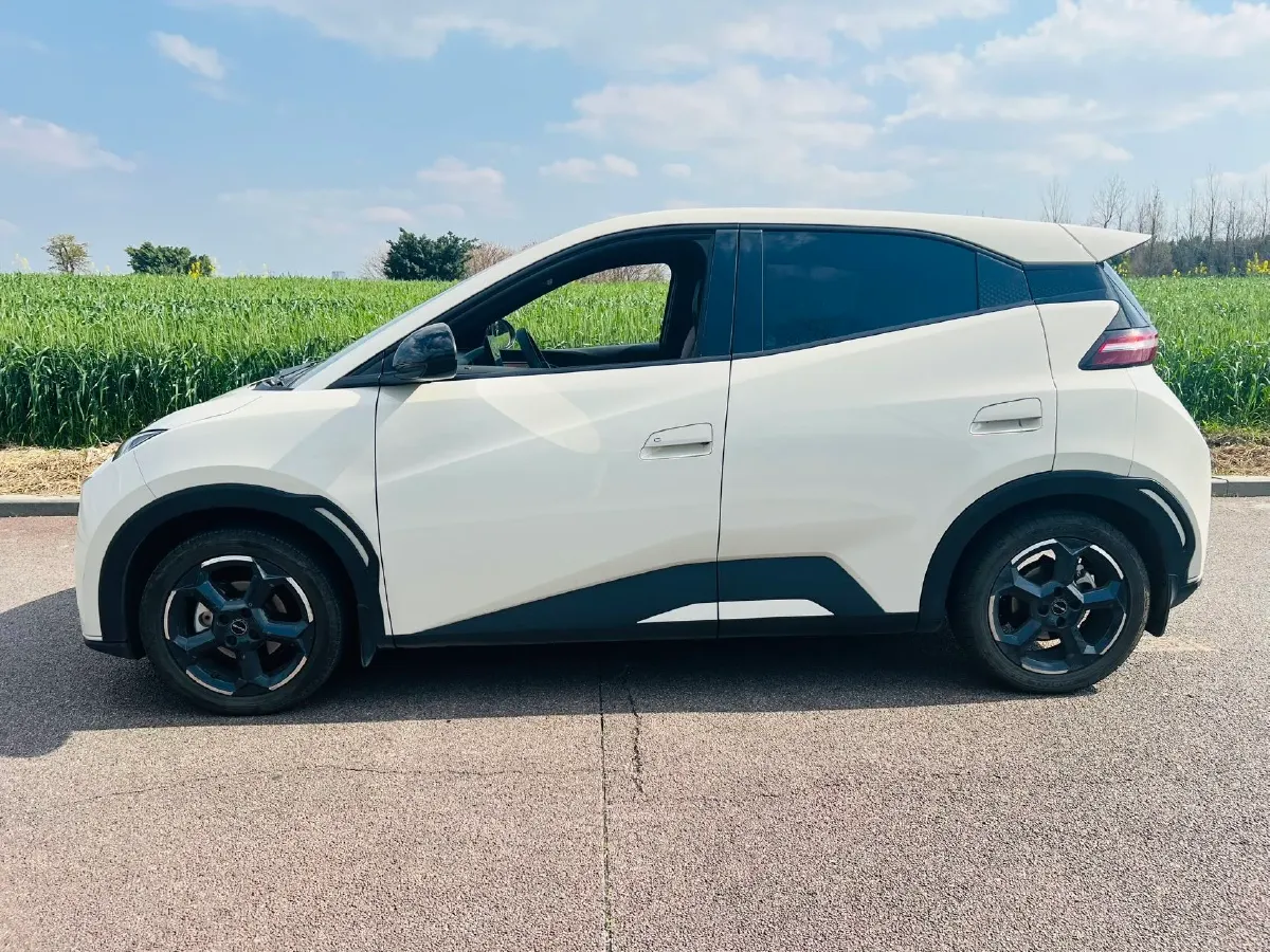 2024 BYD Seagull BEV 38.88KWH,autocango,china used car exporter,china ev exporter,chinese used car exporter,chinese used ev exporter