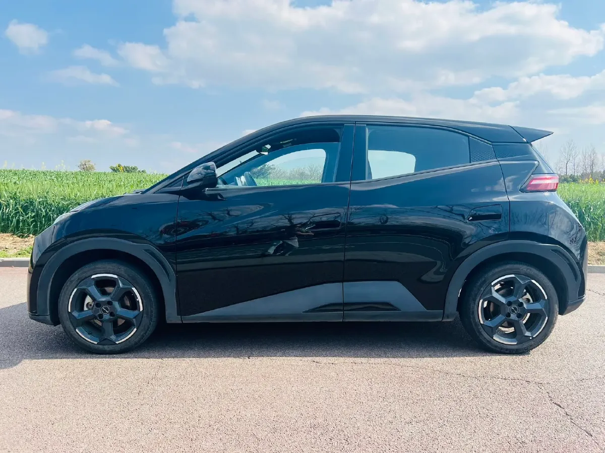 2024 BYD Seagull BEV 38.88KWH,autocango,china used car exporter,china ev exporter,chinese used car exporter,chinese used ev exporter