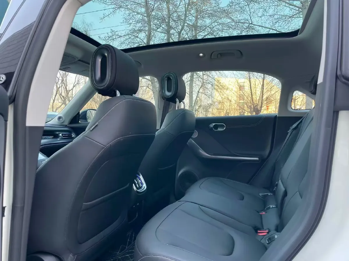 2024 Smart smart Elf 1 BEV 49KWH,autocango,china used car exporter,china ev exporter,chinese used car exporter,chinese used ev exporter