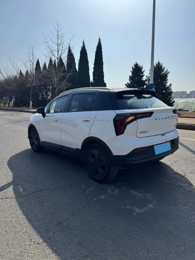 2022 Geometry E BEV 39.4KWH,autocango,china used car exporter,china ev exporter,chinese used car exporter,chinese used ev exporter