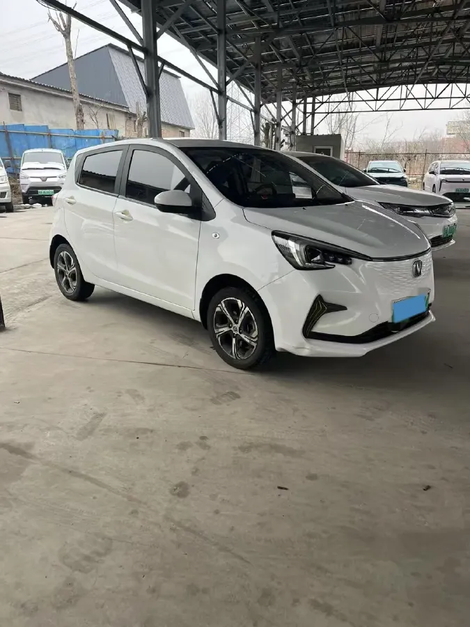 2020 ChangAn BenBen E-Star BEV 32.2KWH,autocango,china used car exporter,china ev exporter,chinese used car exporter,chinese used ev exporter