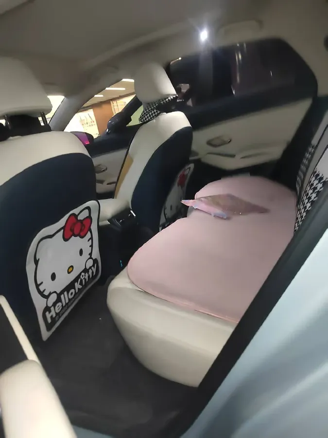 2024 BYD QinL 1.5L 101HP L4 E-CVT PHEV 15.87KWH,autocango,china used car exporter,china ev exporter,chinese used car exporter,chinese used ev exporter