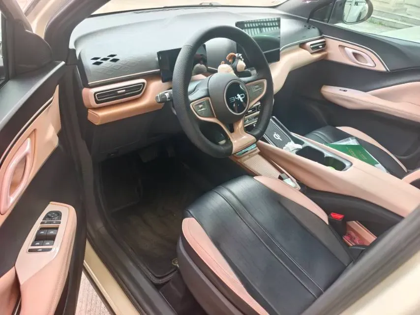 2025 BYD Seagull BEV 30.08KWH,autocango,china used car exporter,china ev exporter,chinese used car exporter,chinese used ev exporter