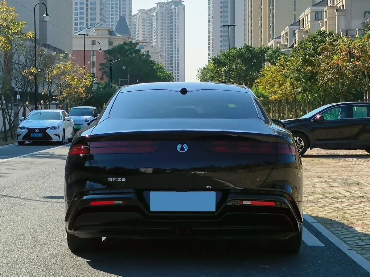 2024 Denza DenzaZ9 2.0T 207HP L4 E-CVT PHEV 38.5KWH,autocango,china used car exporter,china ev exporter,chinese used car exporter,chinese used ev exporter