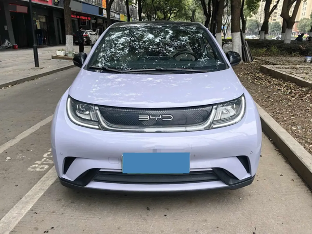 2023 BYD Dolphin BEV 44.928KWH,autocango,china used car exporter,china ev exporter,chinese used car exporter,chinese used ev exporter