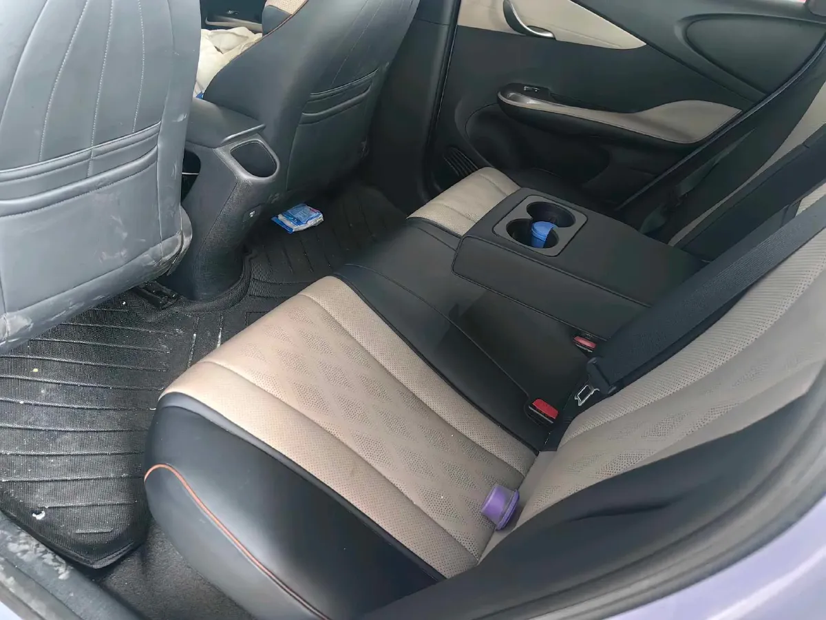 2023 BYD Dolphin BEV 44.928KWH,autocango,china used car exporter,china ev exporter,chinese used car exporter,chinese used ev exporter