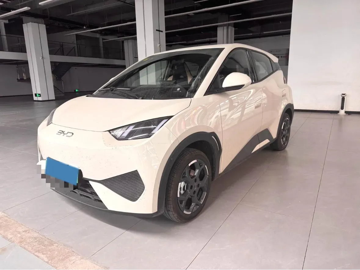 2025 BYD Seagull BEV,autocango,china used car exporter,china ev exporter,chinese used car exporter,chinese used ev exporter