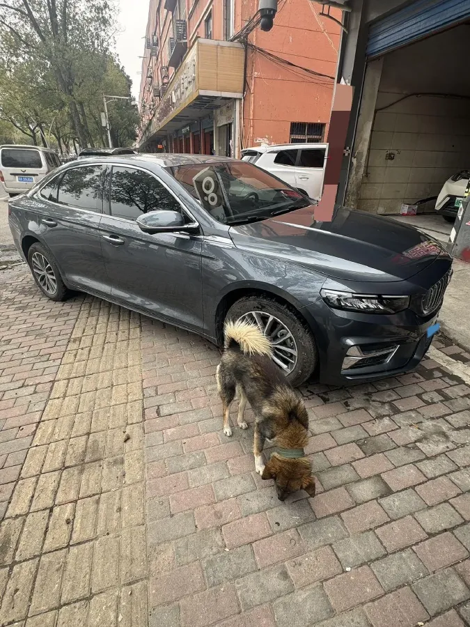 2025 Geely Preface 1.5T 181HP L4 7DCT,autocango,china used car exporter,china ev exporter,chinese used car exporter,chinese used ev exporter