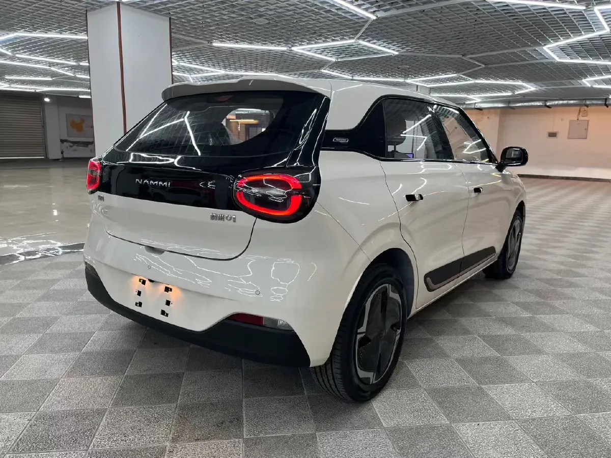 2025 DongFeng Nammi 01 BEV,autocango,china used car exporter,china ev exporter,chinese used car exporter,chinese used ev exporter
