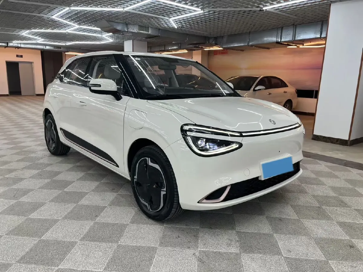 2025 DongFeng Nammi 01 BEV,autocango,china used car exporter,china ev exporter,chinese used car exporter,chinese used ev exporter