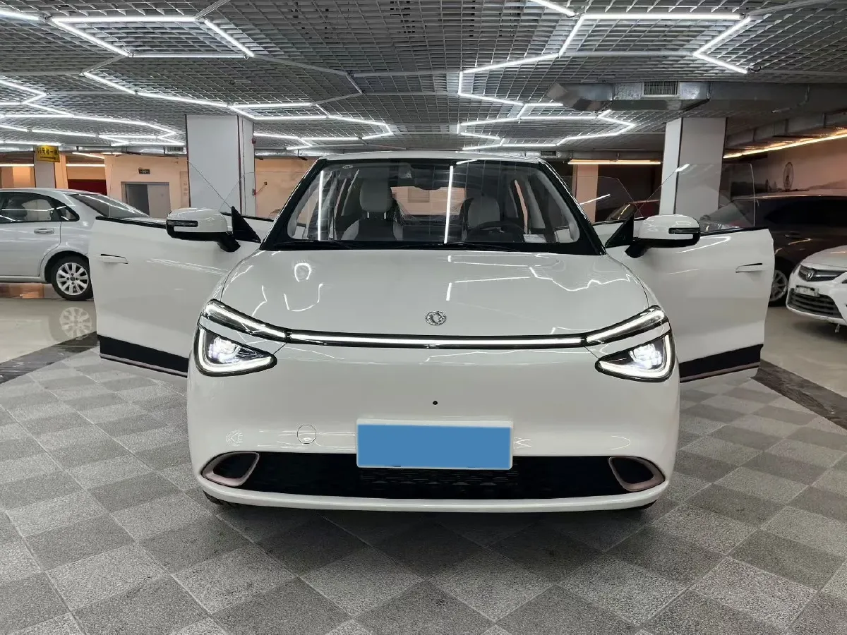 2025 DongFeng Nammi 01 BEV,autocango,china used car exporter,china ev exporter,chinese used car exporter,chinese used ev exporter