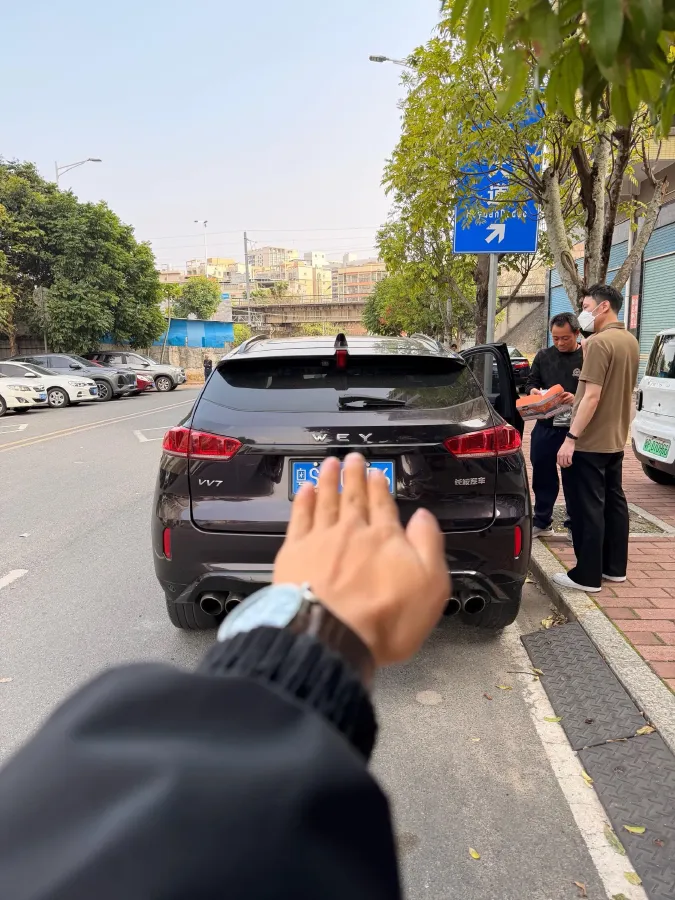 2017 WEY VV7 2.0T 234HP L4 7DCT,autocango,china used car exporter,china ev exporter,chinese used car exporter,chinese used ev exporter