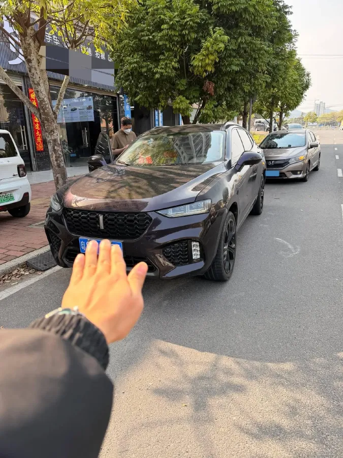 2017 WEY VV7 2.0T 234HP L4 7DCT,autocango,china used car exporter,china ev exporter,chinese used car exporter,chinese used ev exporter