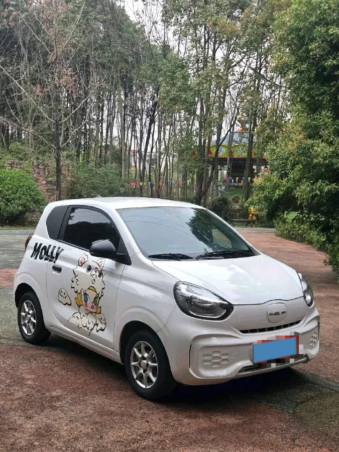 2022 Roewe Clever BEV 29KWH,autocango,china used car exporter,china ev exporter,chinese used car exporter,chinese used ev exporter