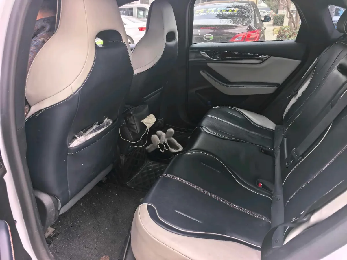 2021 DongFeng FuKang e Elysee BEV 30.7KWH,autocango,china used car exporter,china ev exporter,chinese used car exporter,chinese used ev exporter