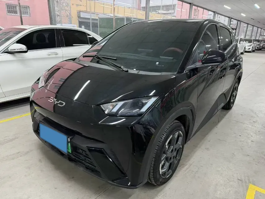 2025 BYD Seagull BEV 30.08KWH,autocango,china used car exporter,china ev exporter,chinese used car exporter,chinese used ev exporter