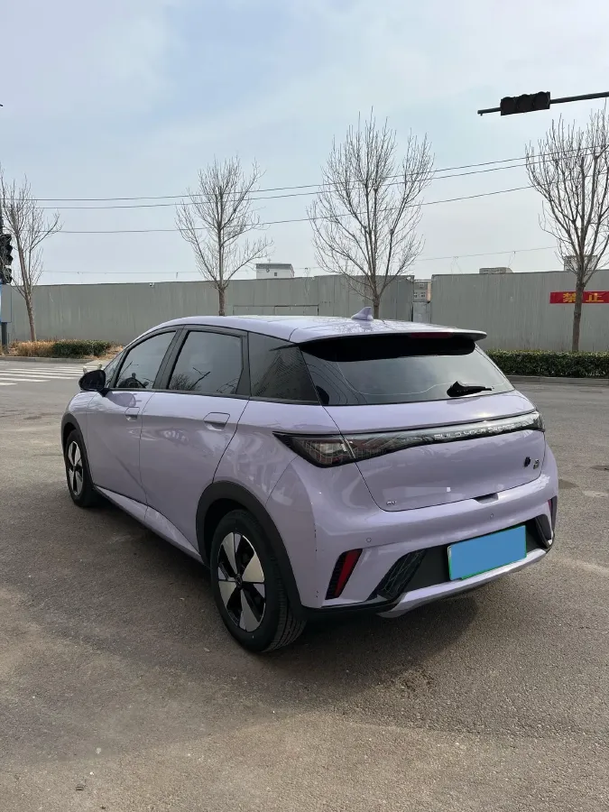 2023 BYD Dolphin BEV 44.928KWH,autocango,china used car exporter,china ev exporter,chinese used car exporter,chinese used ev exporter